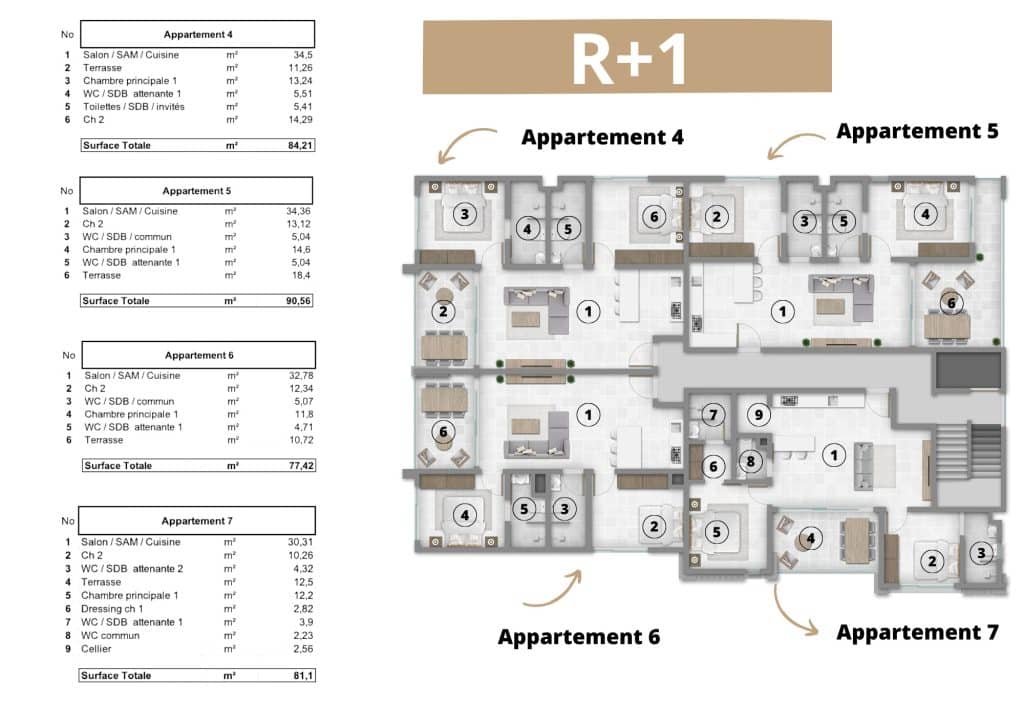 Plan appartement R+1